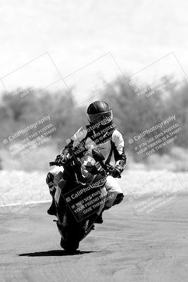 media/Jun-04-2023-Apex Assassins (Sun) [[43813f47a8]]/C Group/Session 4 (Turn 2-Track Exit)/